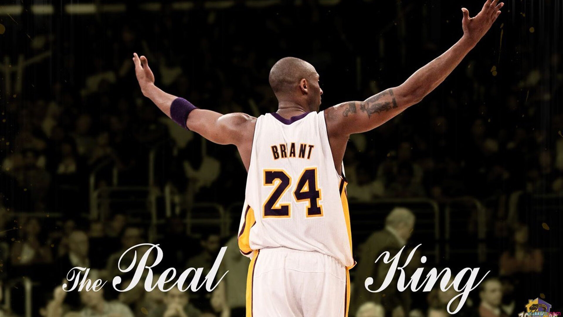 公牛重建步伐启动德罗赞未来不确定,公牛有意施罗德