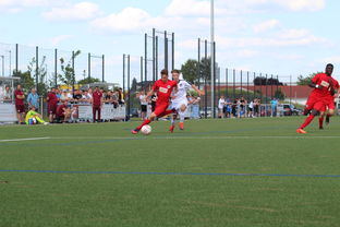 荷兰队在国际赛场持续强势，晋级形势良好