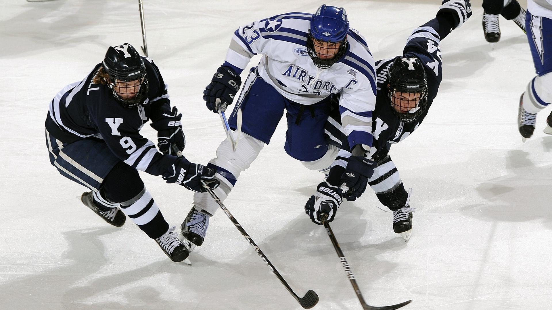 袋鼠队主力球员:塔特 (Tate McDermott),袋鼠体育品牌